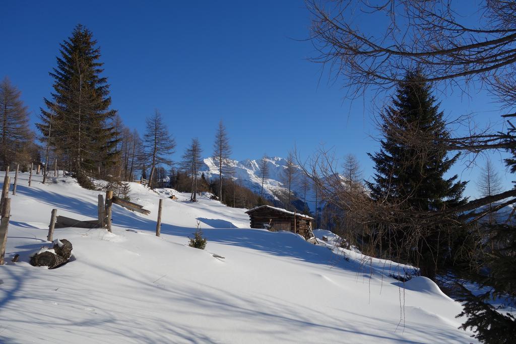 Wachtlerhof Διαμέρισμα Matrei in Osttirol Εξωτερικό φωτογραφία