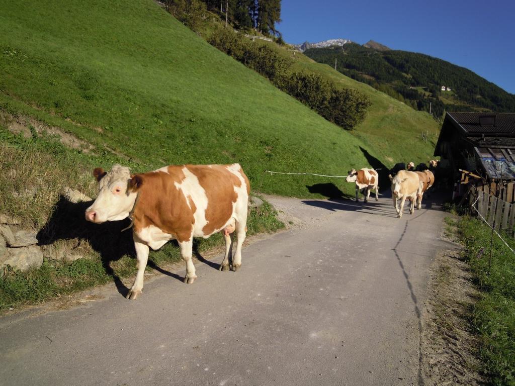 Wachtlerhof Διαμέρισμα Matrei in Osttirol Εξωτερικό φωτογραφία