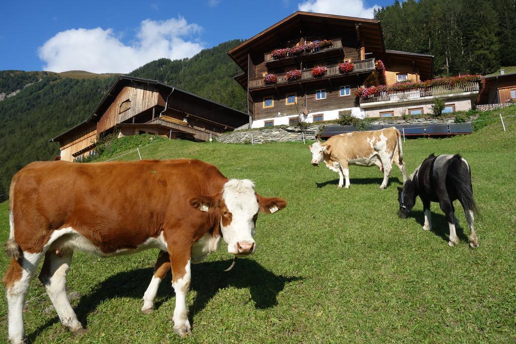Wachtlerhof Διαμέρισμα Matrei in Osttirol Εξωτερικό φωτογραφία