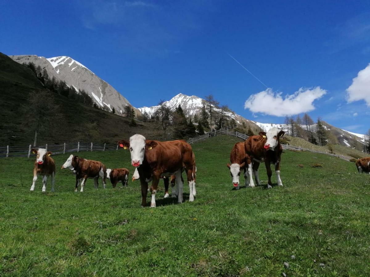 Wachtlerhof Διαμέρισμα Matrei in Osttirol Εξωτερικό φωτογραφία